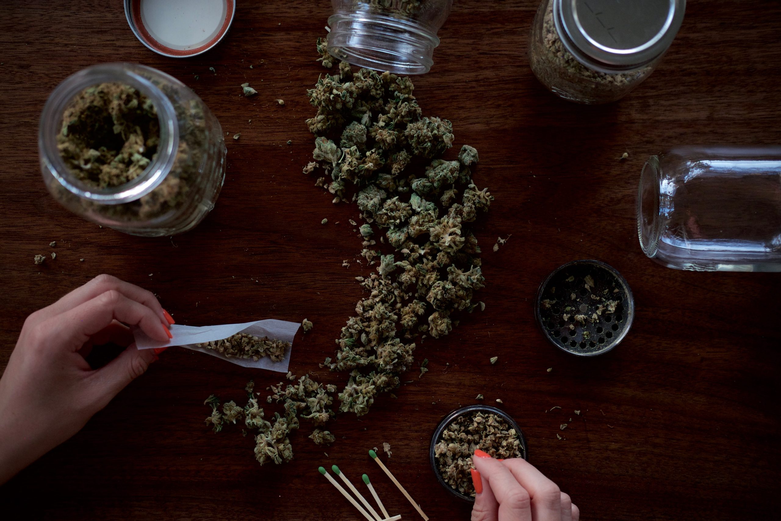 breaking-ground-recreational-marijuana-seeds-now-on-sale-as-of-august-1